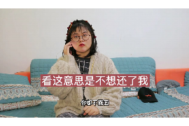 高密企业清欠服务